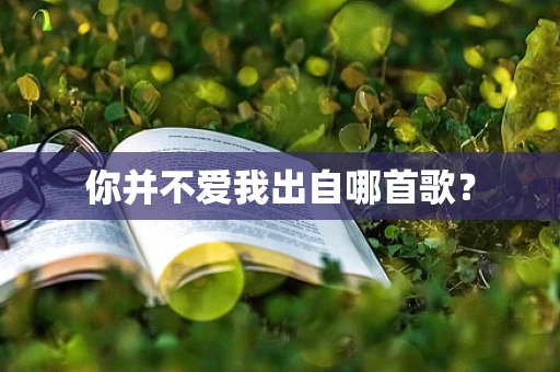你并不爱我出自哪首歌？