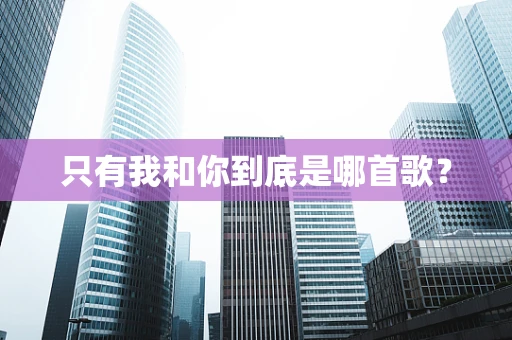只有我和你到底是哪首歌？