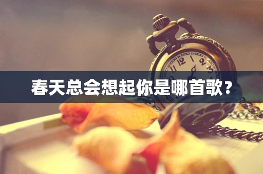 春天总会想起你是哪首歌？
