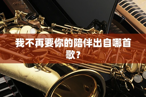 我不再要你的陪伴出自哪首歌？