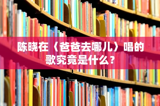 陈晓在〈爸爸去哪儿〉唱的歌究竟是什么？
