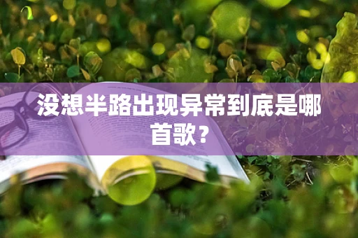 没想半路出现异常到底是哪首歌？