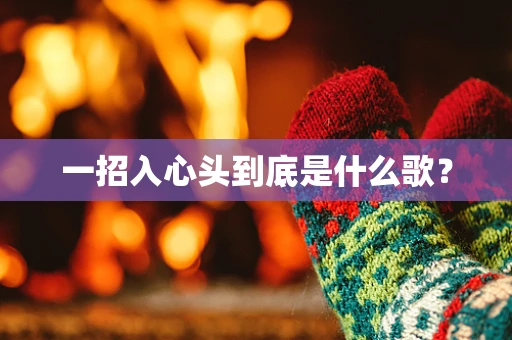一招入心头到底是什么歌？