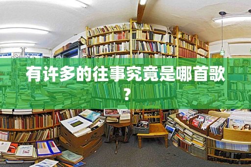 有许多的往事究竟是哪首歌？