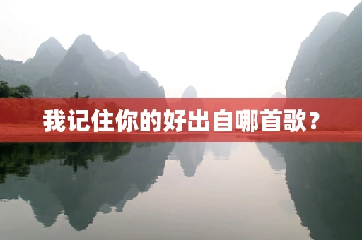 我记住你的好出自哪首歌？