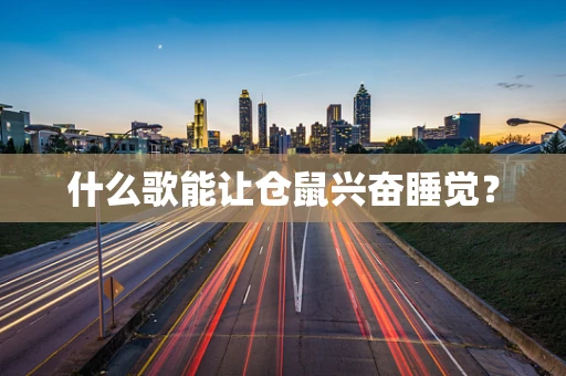 什么歌能让仓鼠兴奋睡觉？