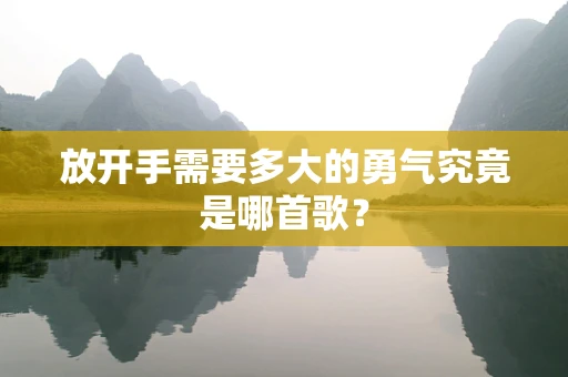 放开手需要多大的勇气究竟是哪首歌？