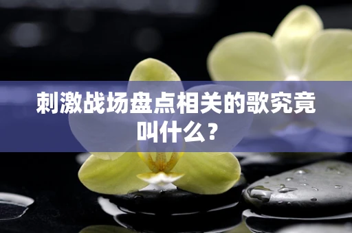 刺激战场盘点相关的歌究竟叫什么？