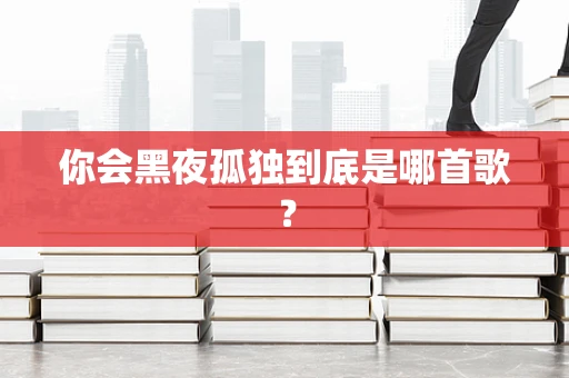 你会黑夜孤独到底是哪首歌？