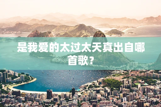 是我爱的太过太天真出自哪首歌？