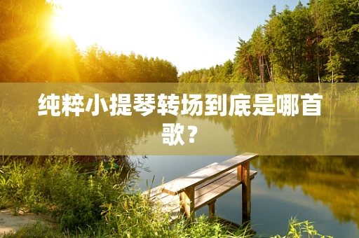 纯粹小提琴转场到底是哪首歌？