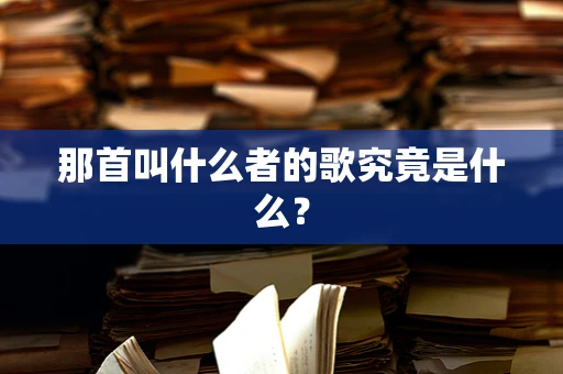那首叫什么者的歌究竟是什么？