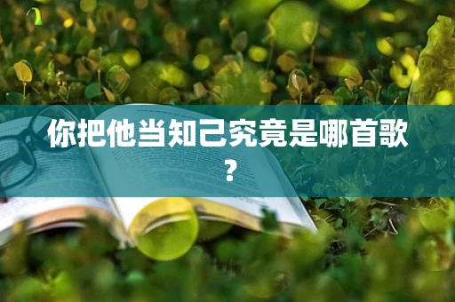 你把他当知己究竟是哪首歌？