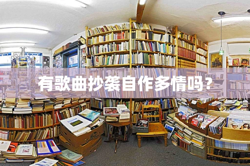 有歌曲抄袭自作多情吗？