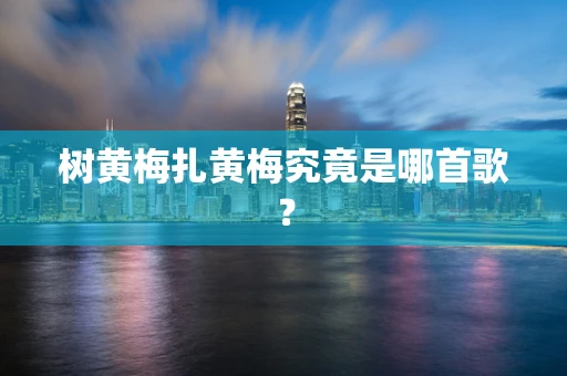 树黄梅扎黄梅究竟是哪首歌？