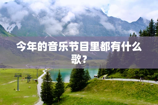 今年的音乐节目里都有什么歌？