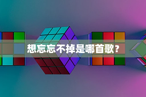 想忘忘不掉是哪首歌？