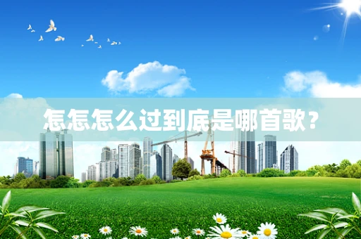 怎怎怎么过到底是哪首歌？