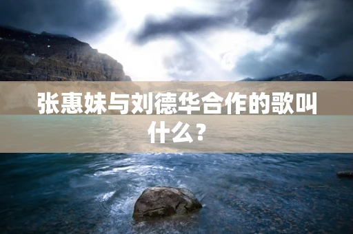 张惠妹与刘德华合作的歌叫什么？