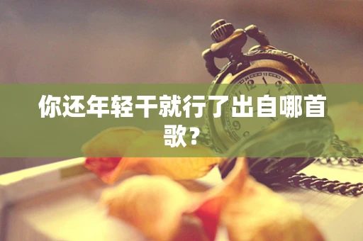 你还年轻干就行了出自哪首歌？