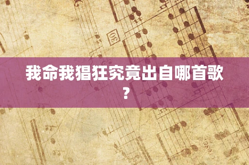 我命我猖狂究竟出自哪首歌？