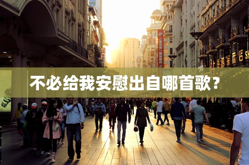 不必给我安慰出自哪首歌？