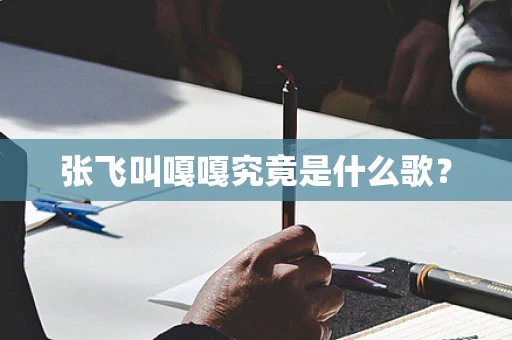 张飞叫嘎嘎究竟是什么歌？