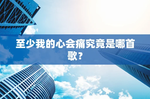 至少我的心会痛究竟是哪首歌？