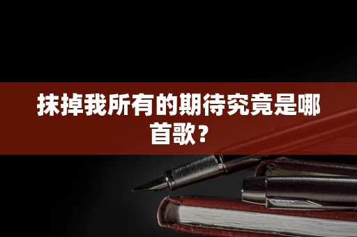 抹掉我所有的期待究竟是哪首歌？