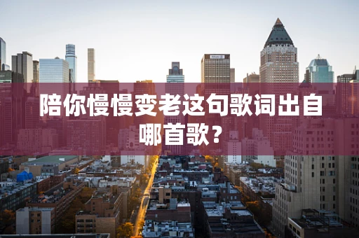 陪你慢慢变老这句歌词出自哪首歌？