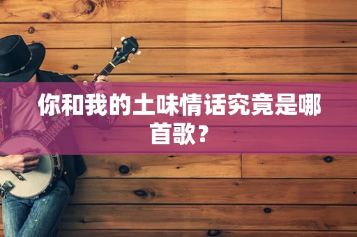 你和我的土味情话究竟是哪首歌？