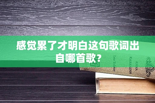 感觉累了才明白这句歌词出自哪首歌？
