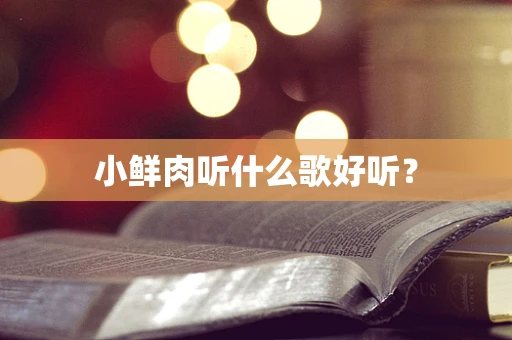 小鲜肉听什么歌好听？