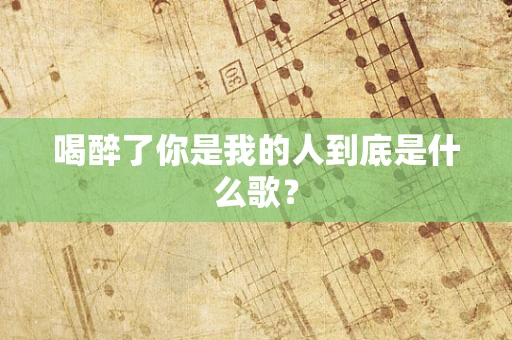 喝醉了你是我的人到底是什么歌？