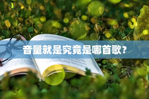 音量就是究竟是哪首歌？