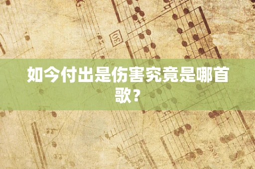 如今付出是伤害究竟是哪首歌？