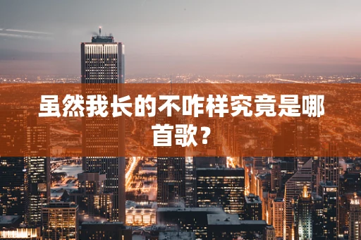 虽然我长的不咋样究竟是哪首歌？
