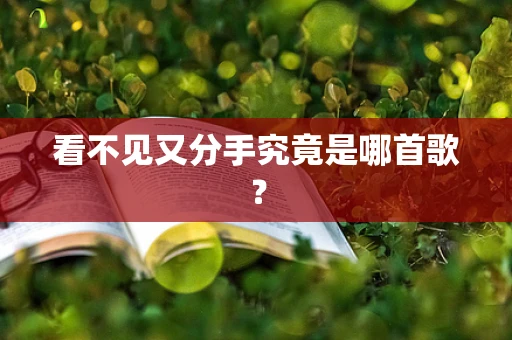 看不见又分手究竟是哪首歌？