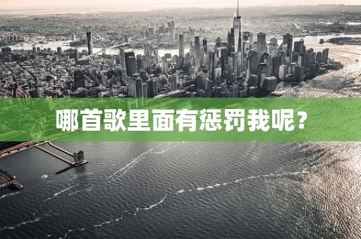 哪首歌里面有惩罚我呢？