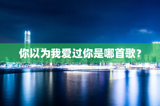 你以为我爱过你是哪首歌？