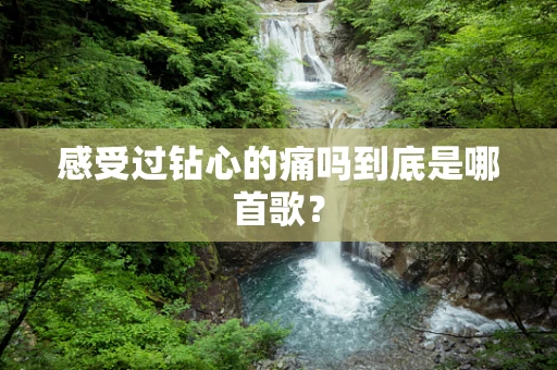 感受过钻心的痛吗到底是哪首歌？
