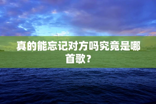 真的能忘记对方吗究竟是哪首歌？