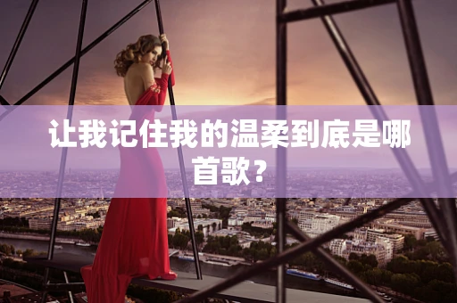 让我记住我的温柔到底是哪首歌？