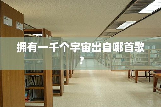 拥有一千个宇宙出自哪首歌？