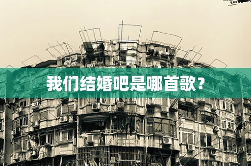 我们结婚吧是哪首歌？
