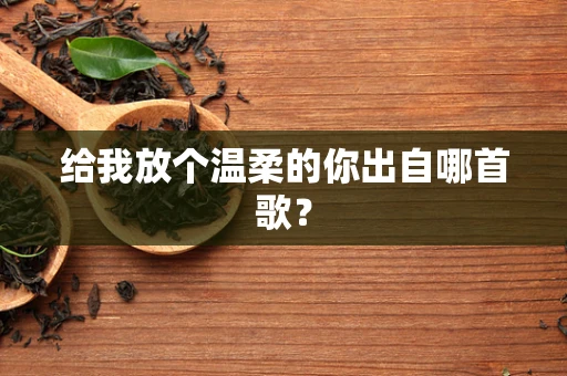 给我放个温柔的你出自哪首歌？