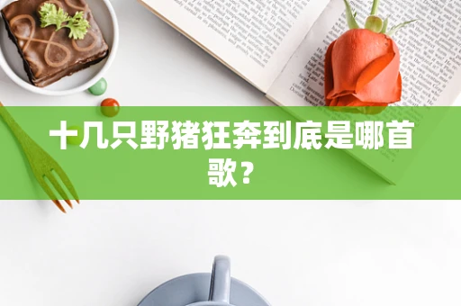 十几只野猪狂奔到底是哪首歌？