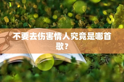 不要去伤害情人究竟是哪首歌？