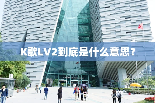 K歌LV2到底是什么意思？