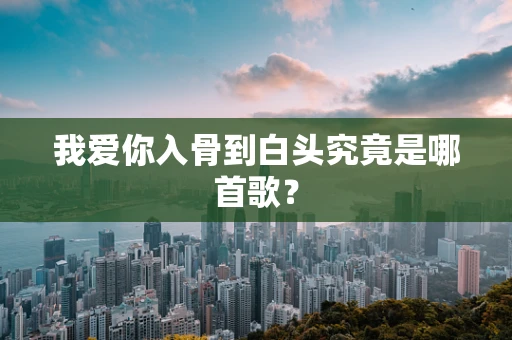 我爱你入骨到白头究竟是哪首歌？